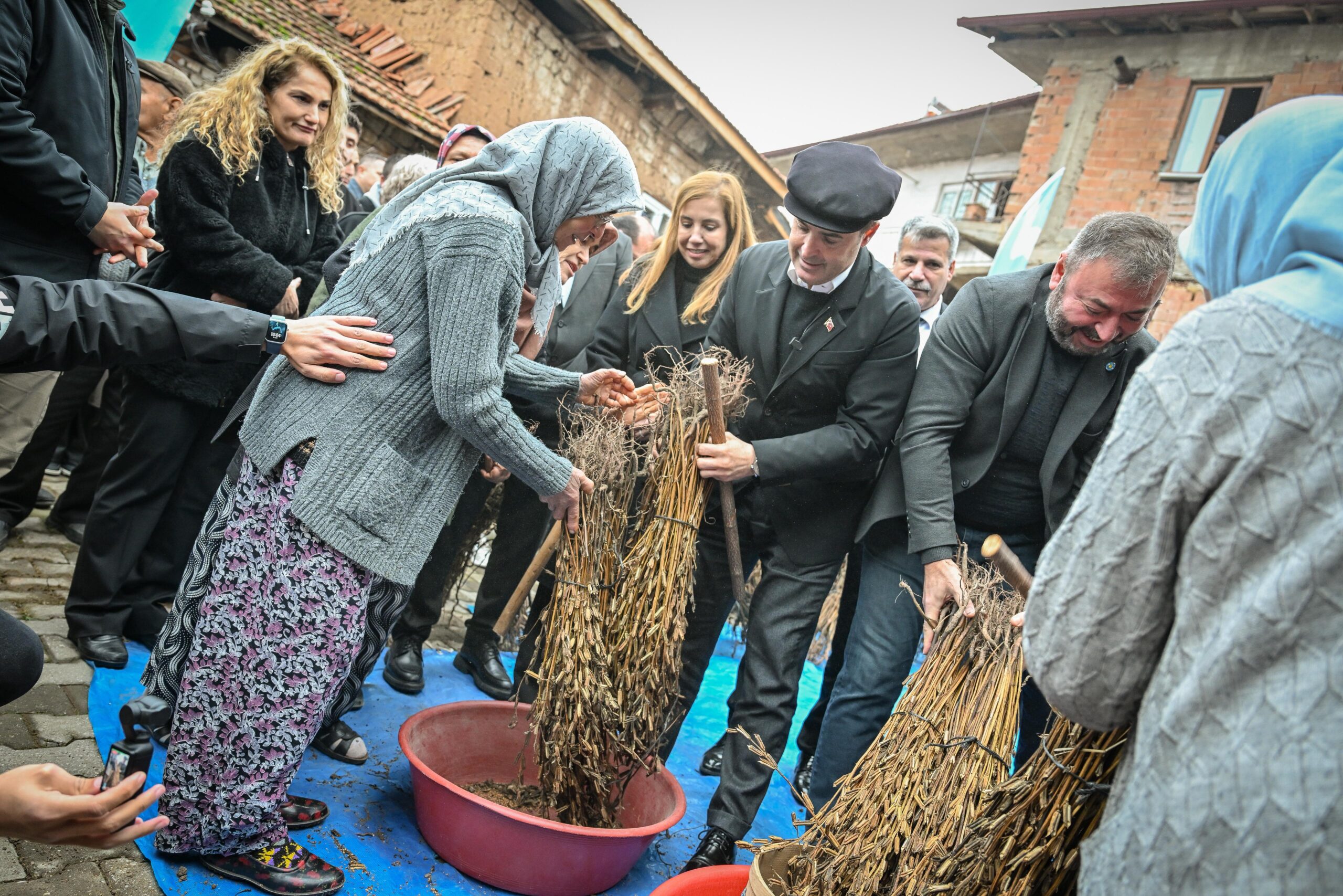 Büyükşehirden susam üreticilerine destek