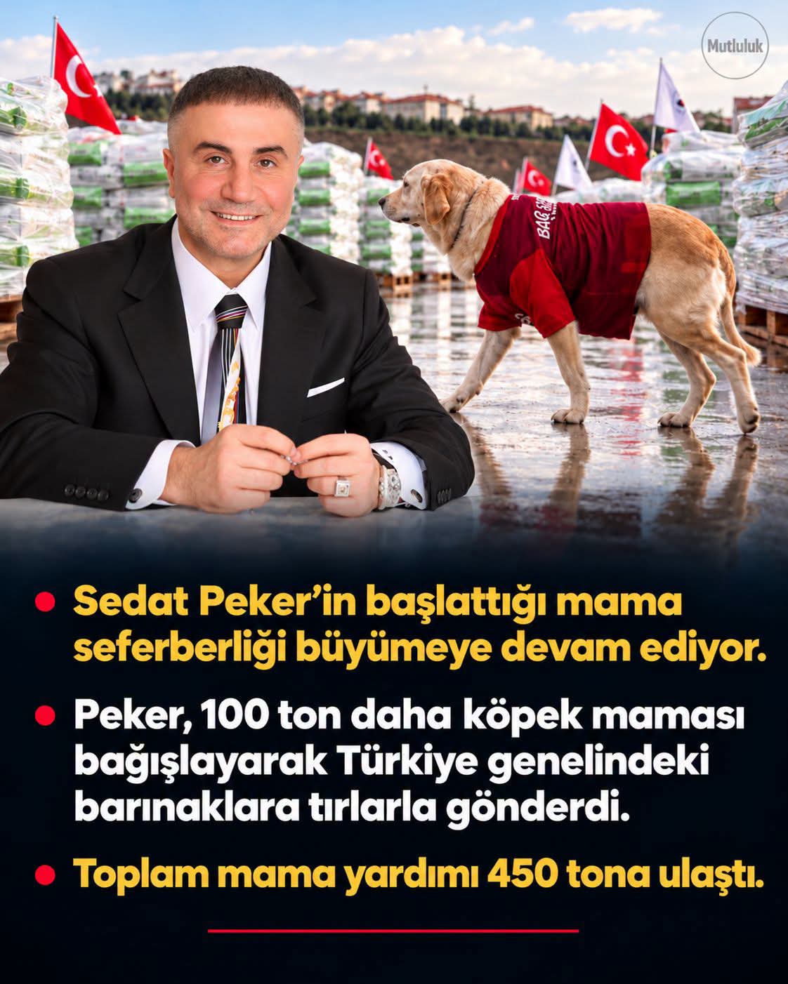 Sokaktaki canlar için başlatılan seferberlik sürüyor. 🐾