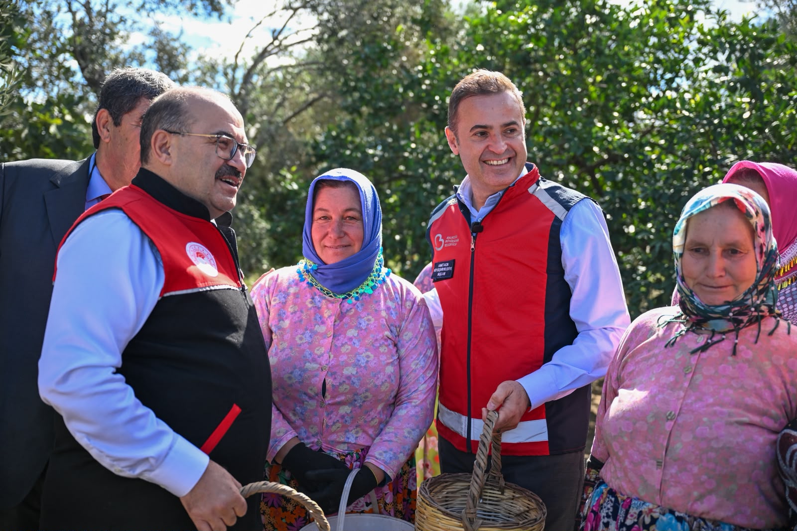 Akın, Altınova Mahallesi’nde gerçekleştirilen zeytin hasadına katıldı